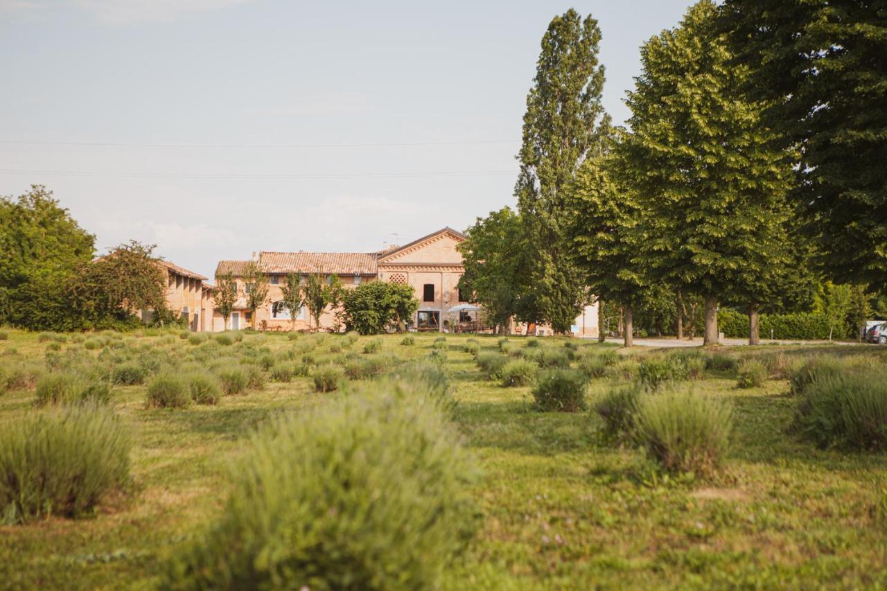 Agriturismo Il Capitolo Carpaneto Piacentino Kültér fotó