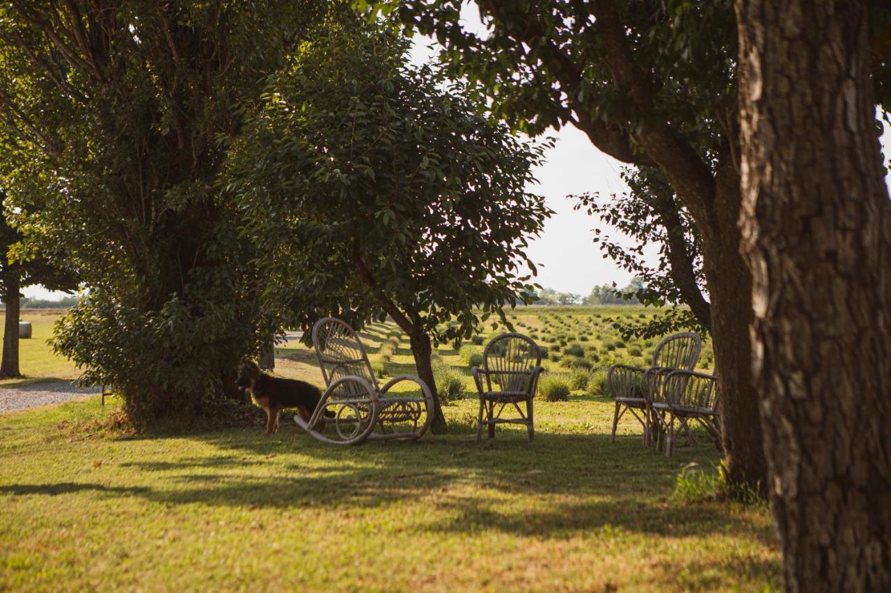 Agriturismo Il Capitolo Carpaneto Piacentino Kültér fotó