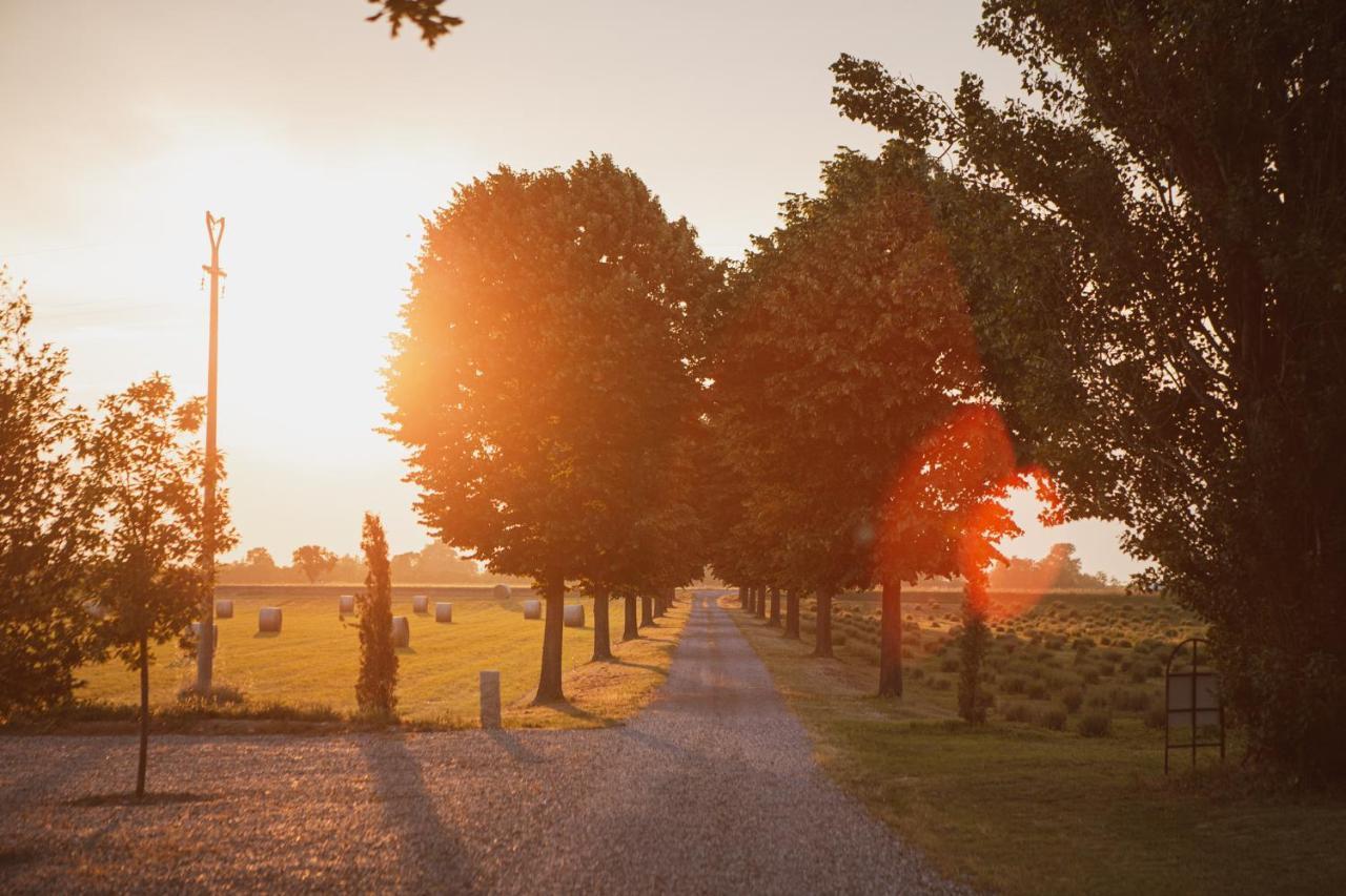 Agriturismo Il Capitolo Carpaneto Piacentino Kültér fotó